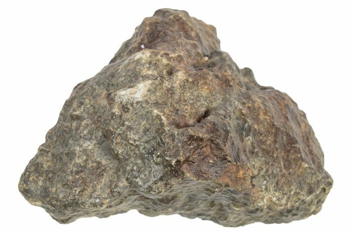 Chondrite Meteorite ( g) - Western Sahara Desert #233175